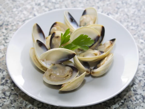 Vongole con sfondo bianco — Foto Stock