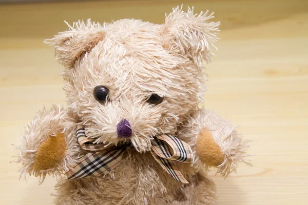 Teddybär — Stockfoto