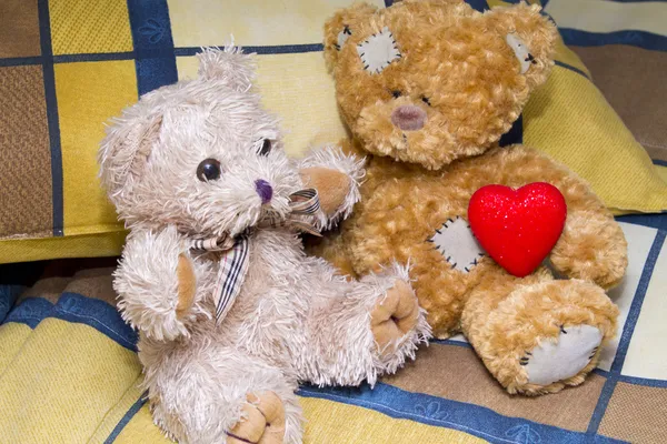 Teddy bear — Stockfoto