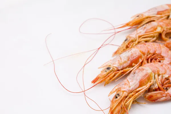 Cooked prawns on the plate — Stock Photo, Image