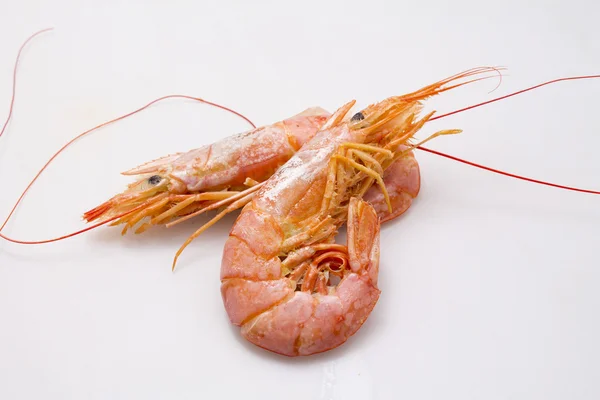 Cooked prawns on the plate — Stock Photo, Image