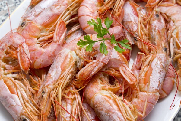 Gambas cocidas en el plato —  Fotos de Stock