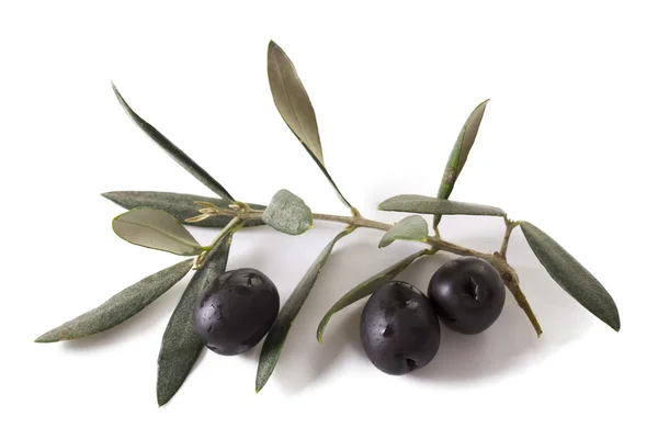 Olivy s pozadím — Stock fotografie