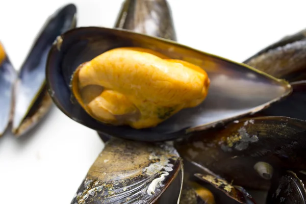 Cozze saporite con prezzemolo — Foto Stock