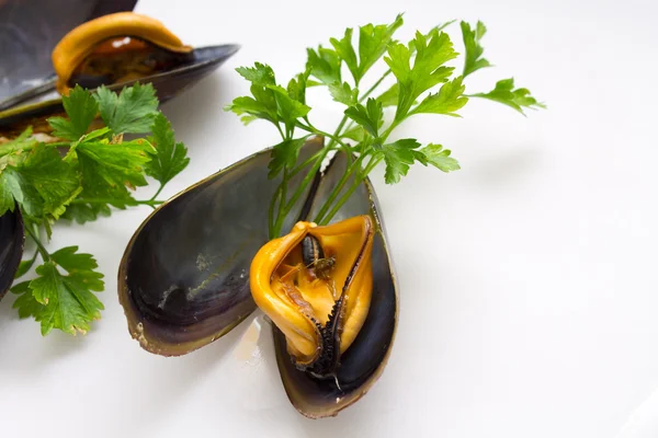 Moules savoureuses au persil — Photo