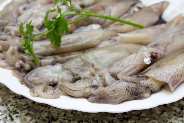 Frischer Tintenfisch — Stockfoto