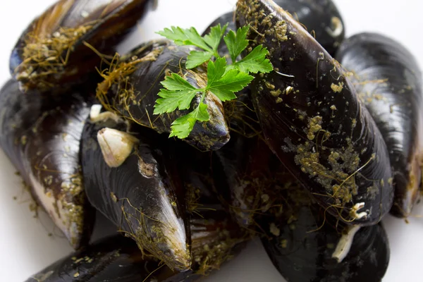 Tasty mussels with parsley — Stock Photo, Image