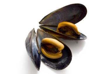pyszne małże
