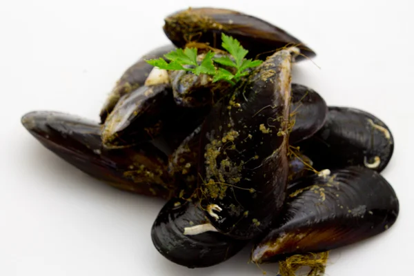 Tasty mussels — Stock Photo, Image