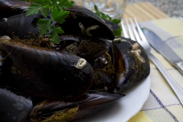 Välsmakande musslor — Stockfoto