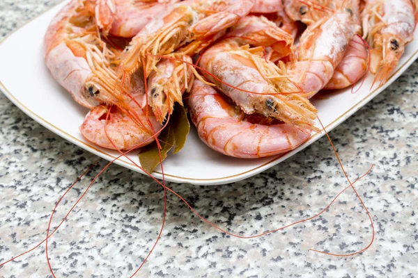 Tasty shrimps — Stock Photo, Image