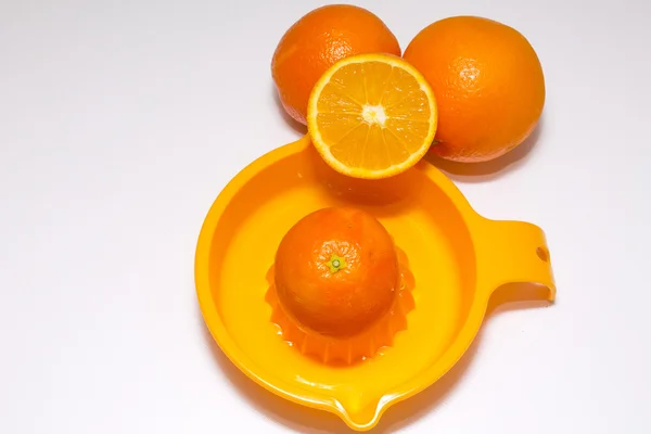 Oranges isolated — Stock Photo, Image