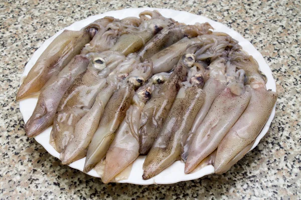 鲜鱿鱼 — 图库照片
