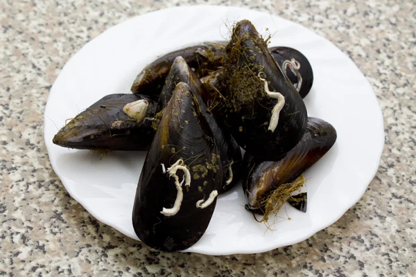 Cozze fresche — Foto Stock