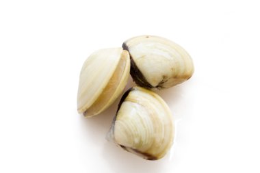 kalamar ile taze istiridye