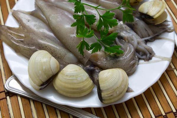 Кальмары со свежими моллюсками — стоковое фото