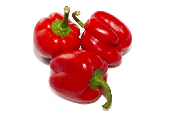 Röd paprika — Stockfoto