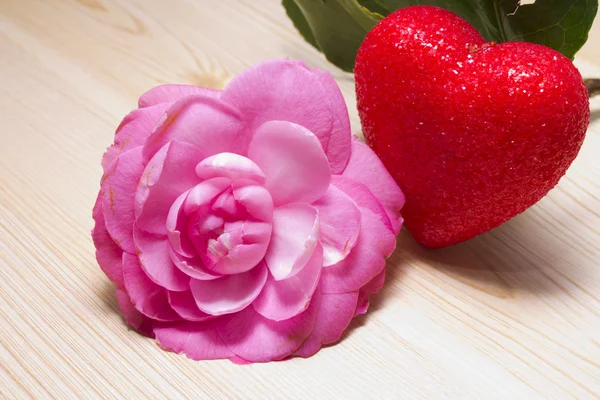 Camellias and red heart — Stock Photo, Image