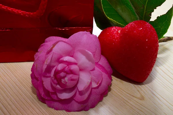 Camellias and red heart — Stock Photo, Image