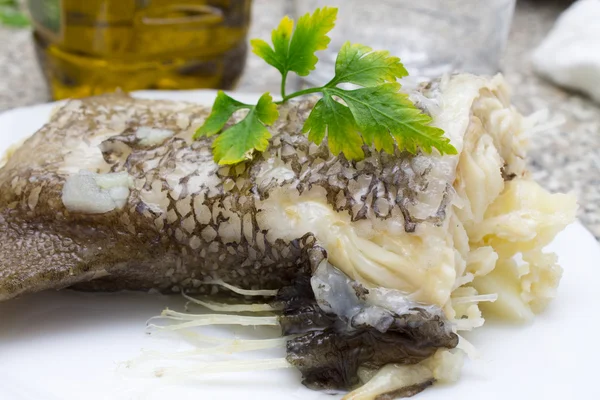 Fresh cod — Stock Photo, Image