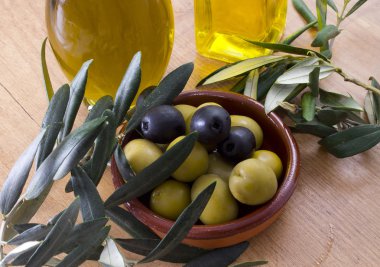 arka plan ile zeytin