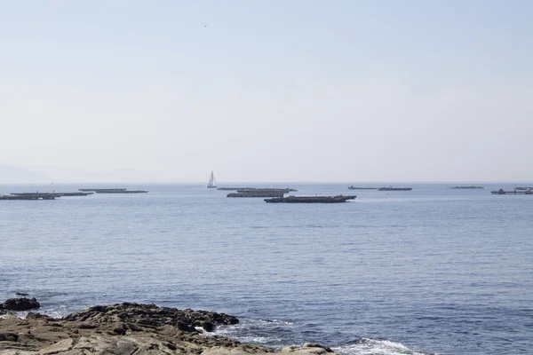 Muschelflöße in vigo, Pontevedra mit Cies-Inseln im Hintergrund — Stockfoto