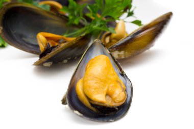 maydanoz ile lezzetli midye