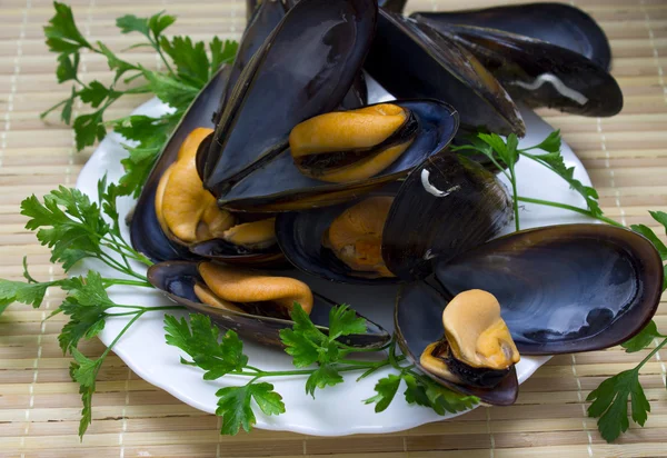 Tasty mussels with parsley — Stock Photo, Image