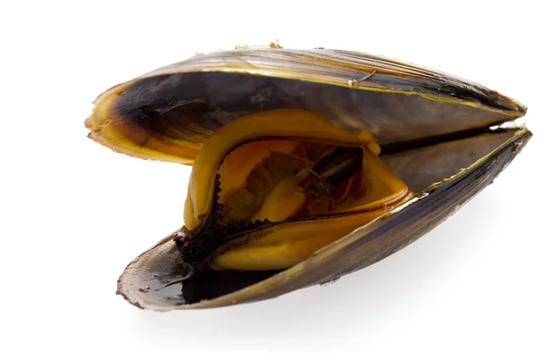 Cozze saporite con prezzemolo — Foto Stock