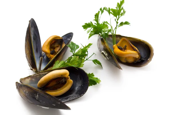 Välsmakande musslor med persilja — Stockfoto