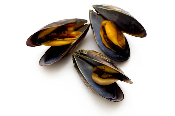 Mejillones aislados —  Fotos de Stock