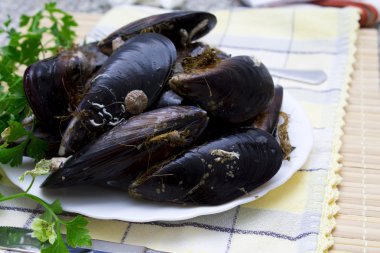 Masanın üzerine taze midye