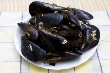 Masanın üzerine taze midye