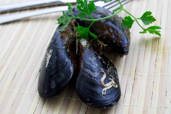 Mejillones frescos sobre la mesa — Foto de Stock