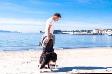 Rahat genç adam sahilde köpekle oynuyor.