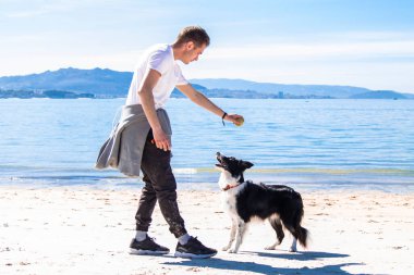 Rahat genç adam sahilde köpekle oynuyor.