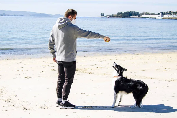 Mann Medizinischer Maske Spielt Mit Hund Strand Der Neuen Normalität — Stockfoto