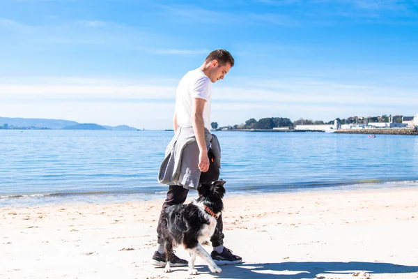 Rahat genç adam sahilde köpekle oynuyor.