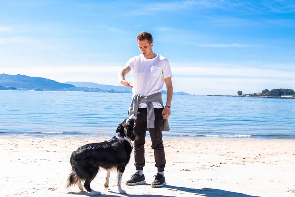 Genç adam sahilde köpeğiyle oynuyor.