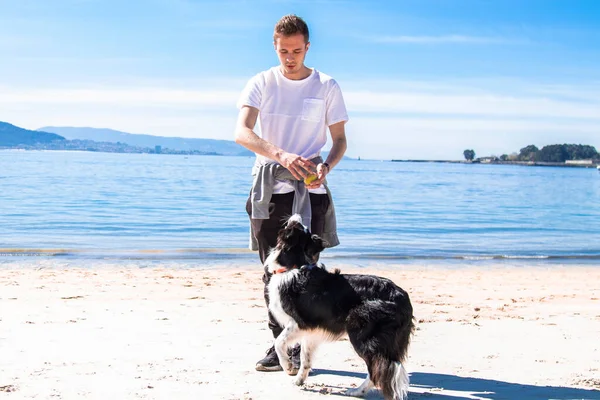 Genç adam sahilde köpeğiyle oynuyor.
