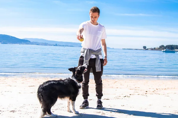 Genç adam sahilde köpeğiyle oynuyor.