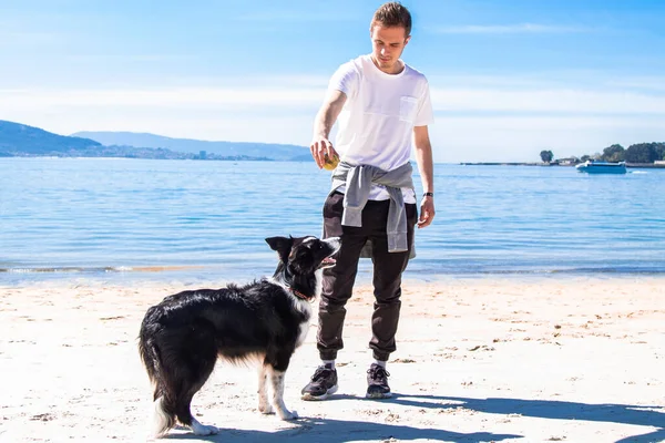 Genç adam sahilde köpeğiyle oynuyor.