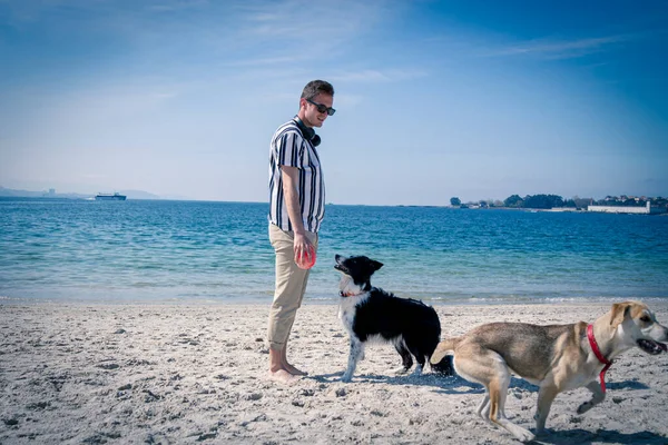 Genç adam sahilde köpek ve topla oynuyor.