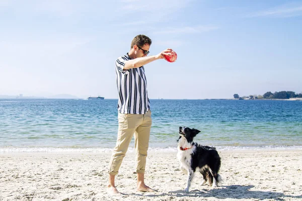 Genç adam sahilde köpek ve topla oynuyor.