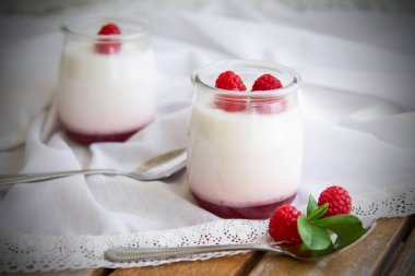 Masada ahududu ve yaban mersinli yoğurt