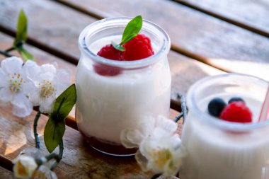 Masada ahududu ve yaban mersinli yoğurt