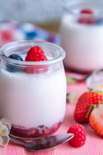 Fresh Yogurt Raspberries Blueberries — 图库照片