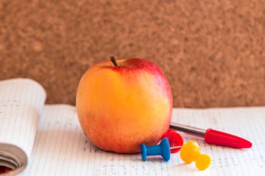 Okul konseptine, deftere ve ofise ya da okul aksesuarlarına