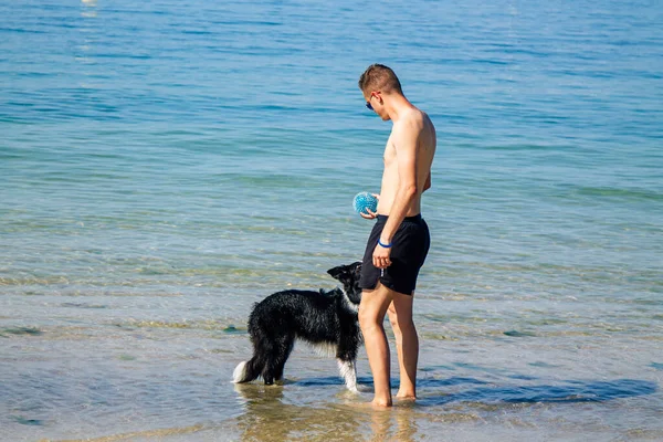 Sahilde köpekle oynayan adam.