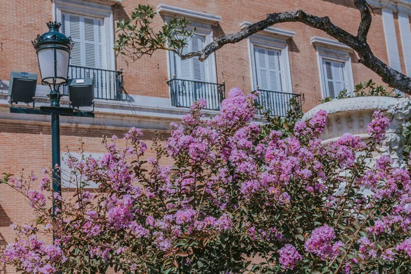 Jardines Del Palacio Real Aranjuez Madrid España Europa —  Fotos de Stock